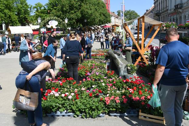 Obilježavanje Dana grada Križevaca uljepšano je cvjetnom manifestacijom "Križevci u cvijeću"
