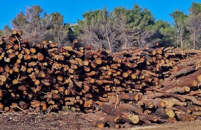 Upravitelj šume u Otočcu mora iza rešetaka zbog mita: 'Od sad više nećeš tovariti bez mene!'