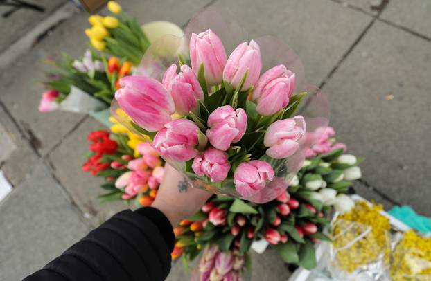 Mirisi proljeća: U Zagrebu na ulici prodaju tulipane i mimoze