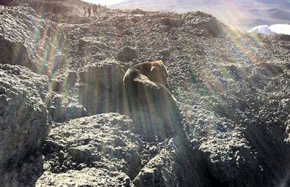 Dom mu je Kilimandžaro: Pas godinama živi na 5000 m visine
