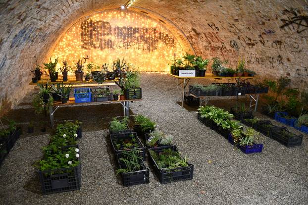 FOTO Sve je šareno i veselo! Brođane čeka sajam cvijeća