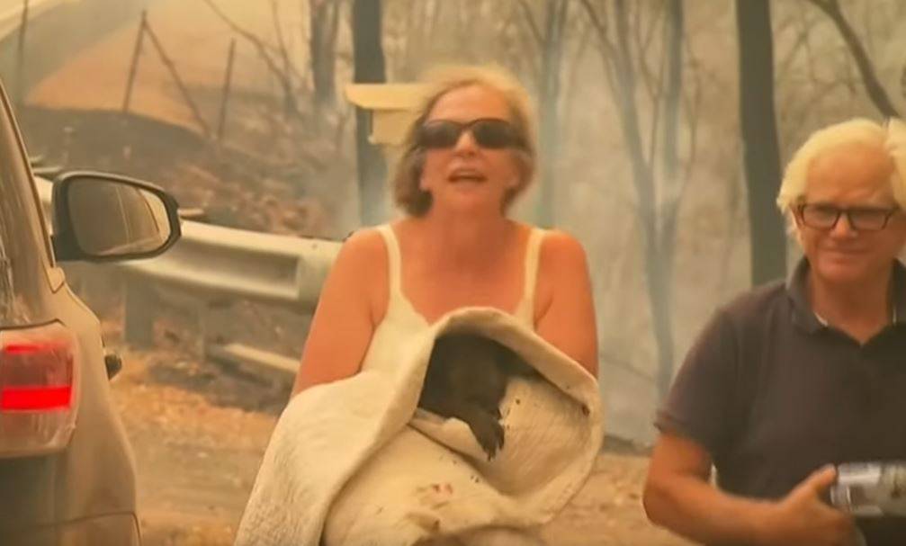 Uginula je koala Lewis koju su prošlog tjedna spasili iz požara