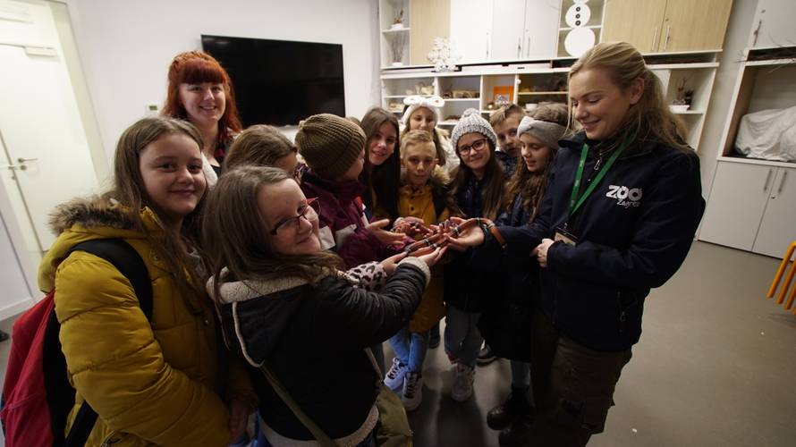 Božićno iznenađenje: Učenici iz Slavonije prvi put u Zoološkom