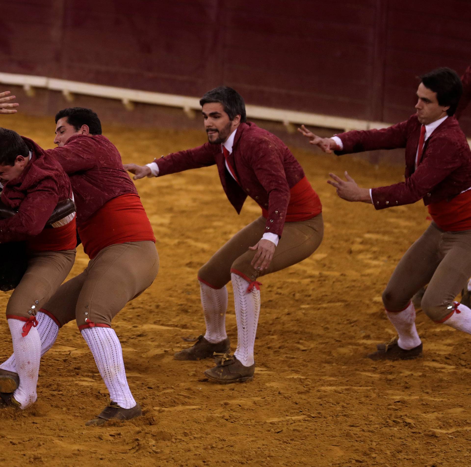 Members of Montemor forcados group perform during a bullfight at Campo Pequeno bullring in Lisbon