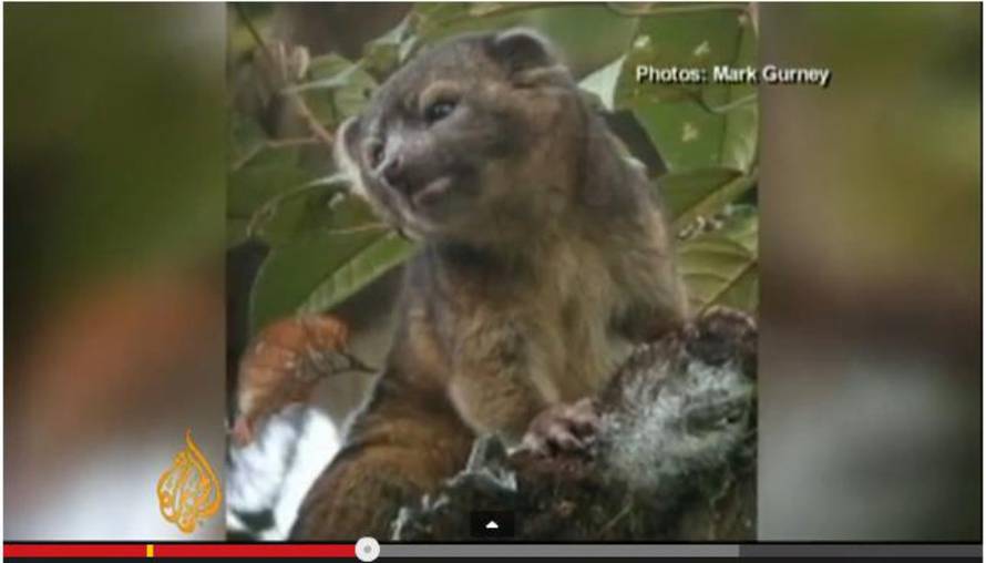 youtube screenshot