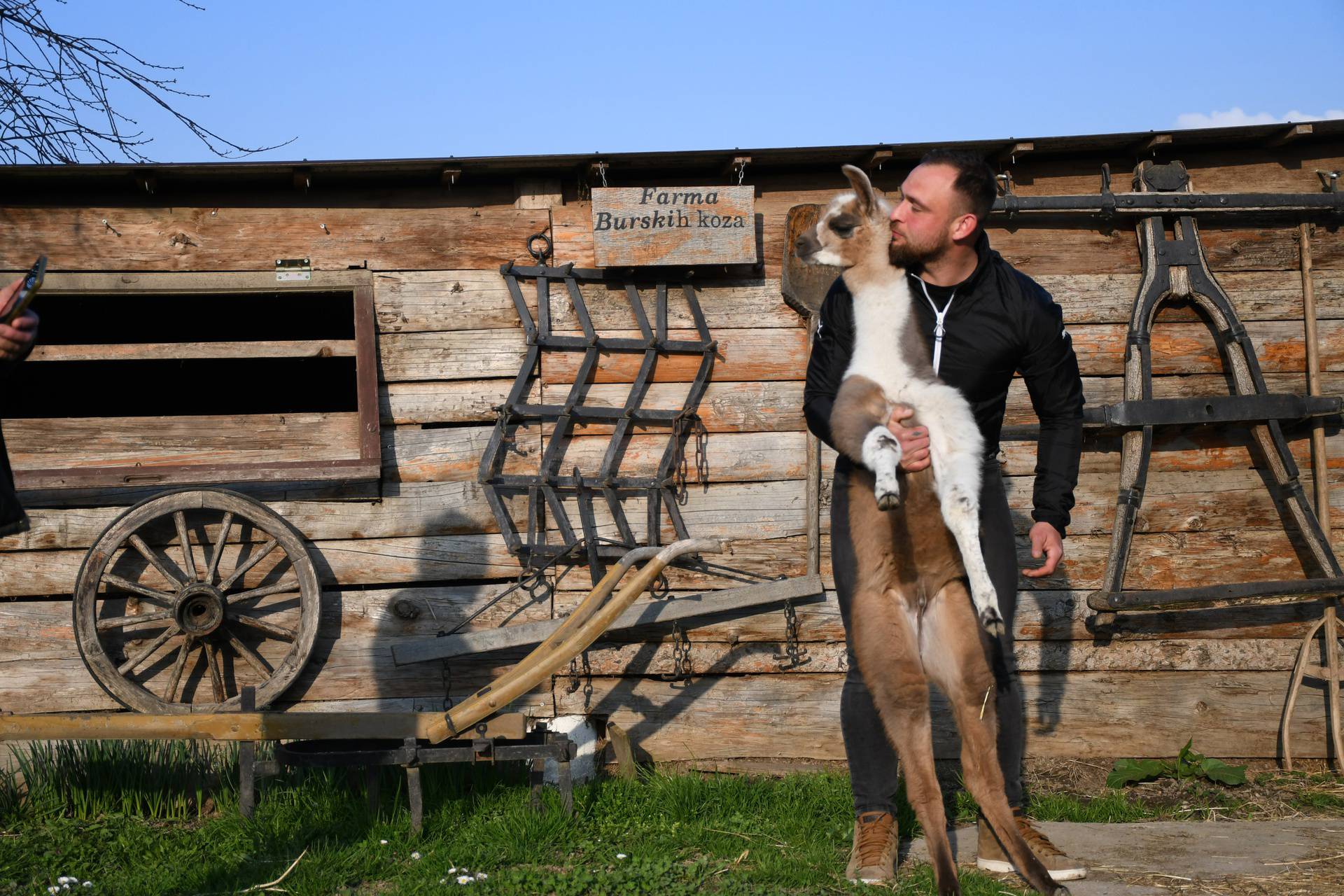 Koprivnica: Marin Lončar ponosni je vlasnik farme ljama 