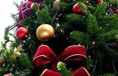 Prirodna božićna drvca “zelenija” od umjetnih