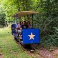 Starinski tramvaj vozi turiste kroz šumu u Velikoj Britaniji
