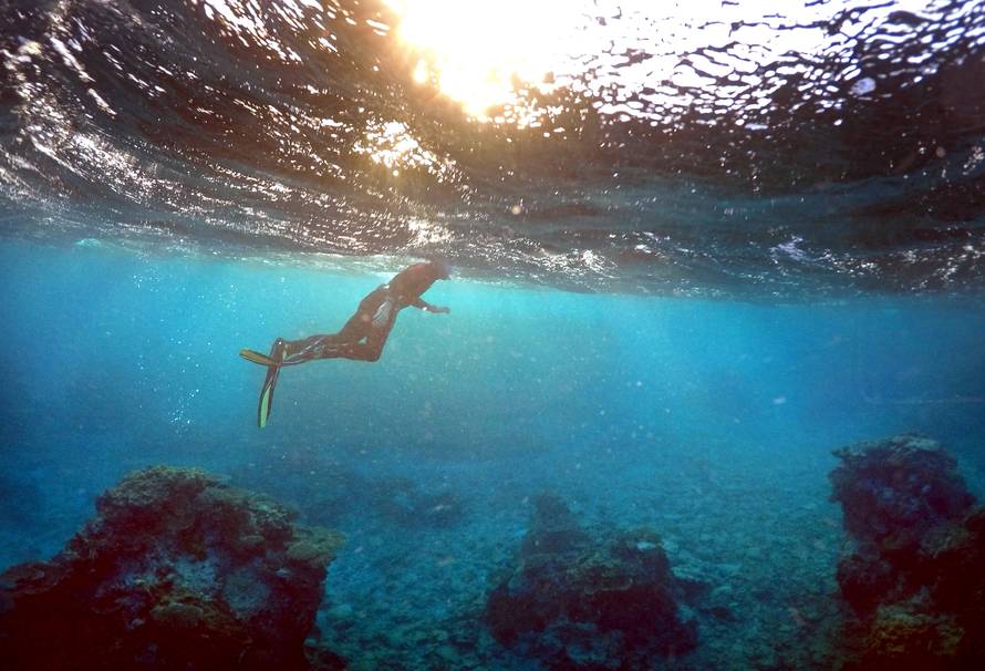 A man snorkels in an area called the 'Coral Gardens' near Lady Elliot Island, on the Great Barrier Reef