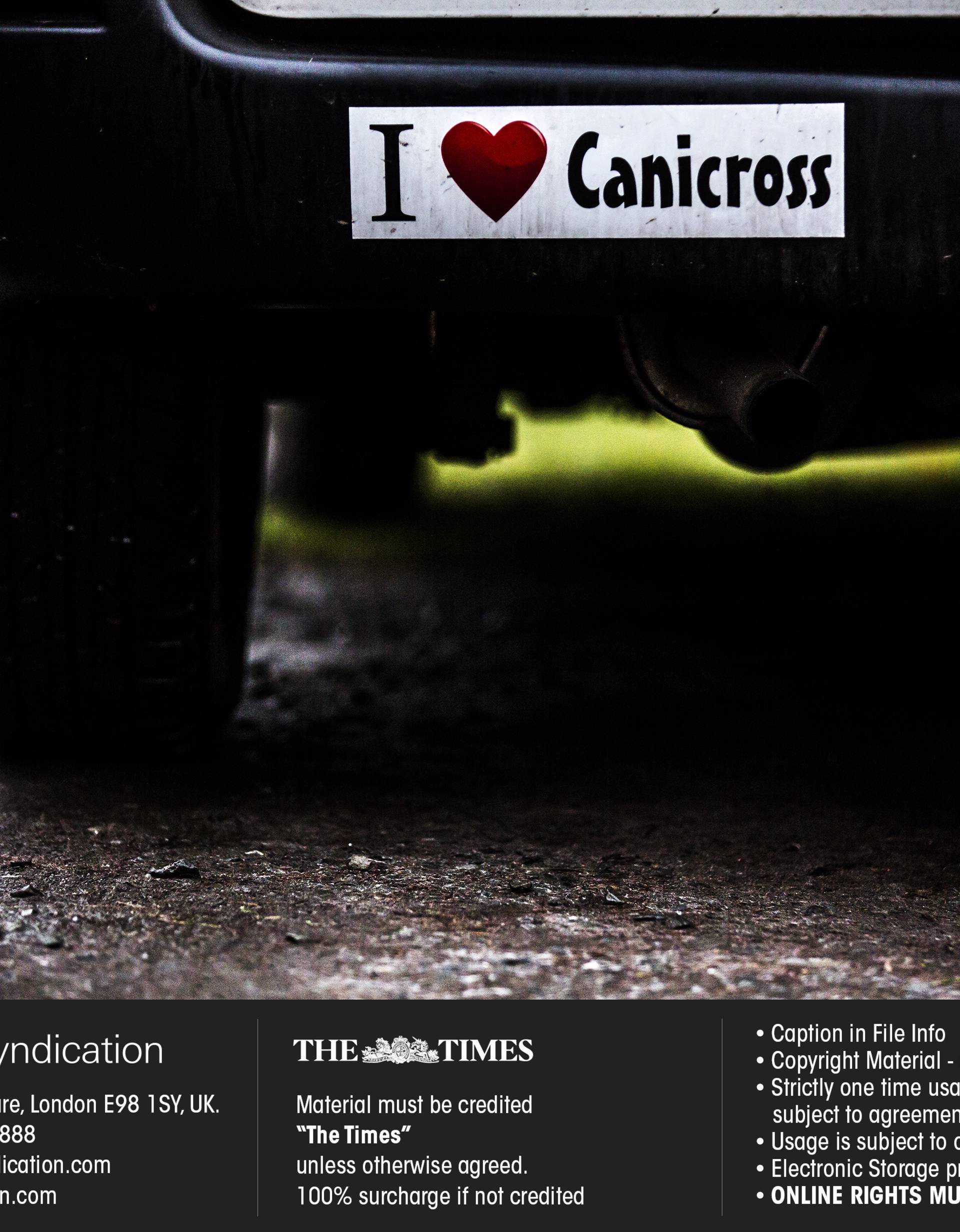 A Canicross? run takes place in Vogrie Country Park near Gorebridge, Midlothian, Scotland.