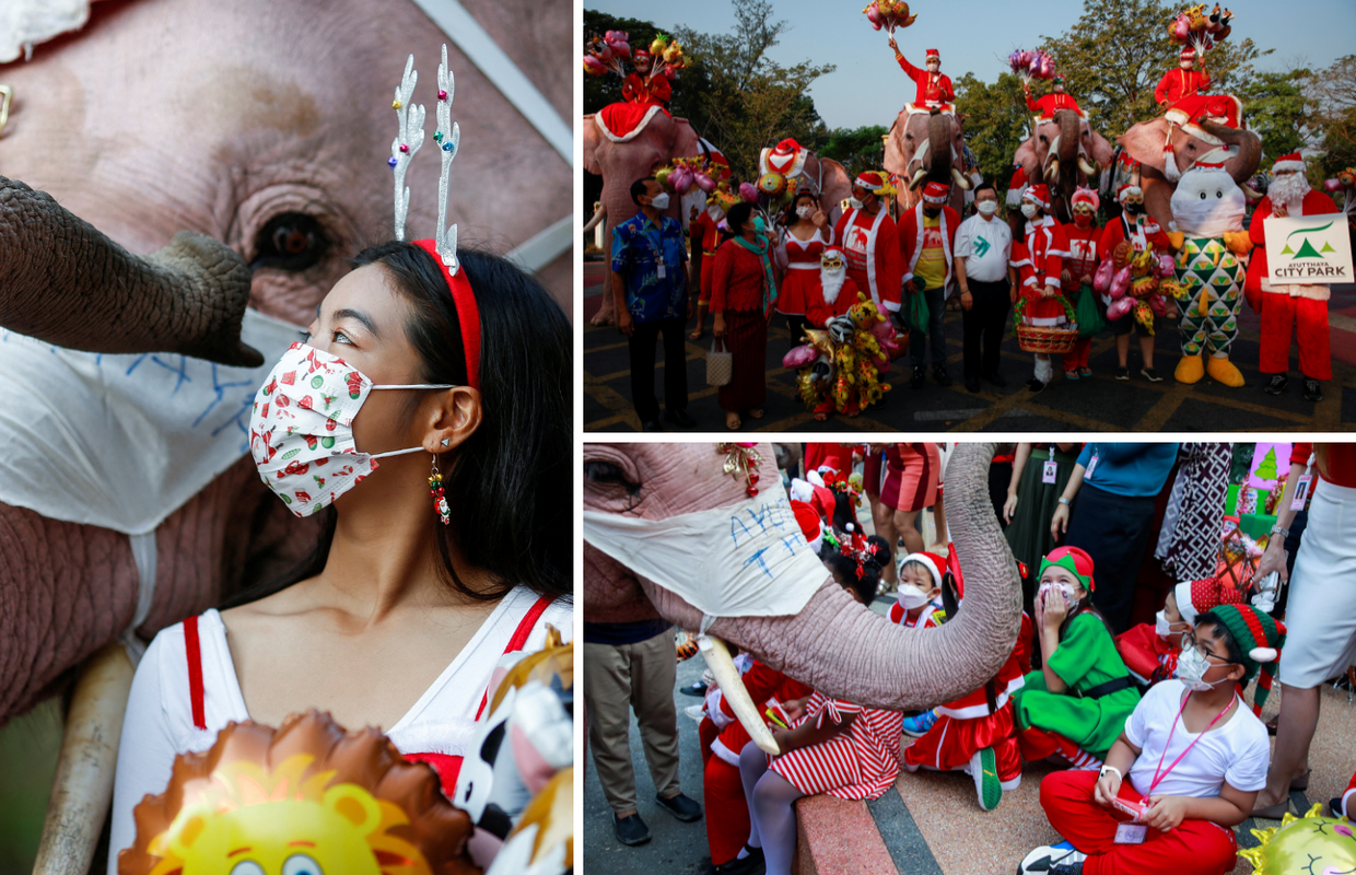 Slonovi na Tajlandu nosili kape Djeda Božićnjaka, učenicima podijelili maske i gel za ruke