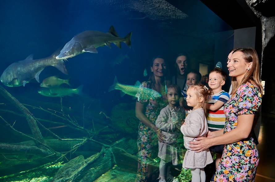 Jedinstveni slatkovodni akvarij Aquatika ovaj vikend slavi sedmi rođendan