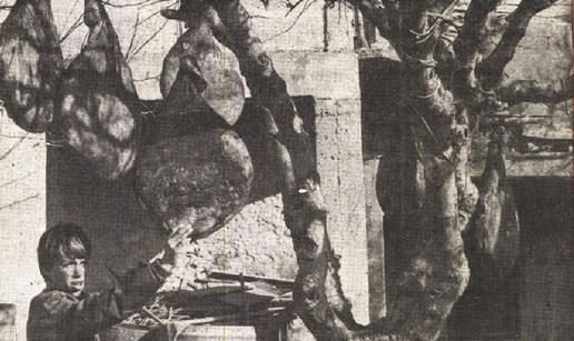 &Ccaron;uvari pr&scaron;uta de&zcaron;urali dok pr&scaron;ut ne dobije malo 'fri&scaron;ke arije'