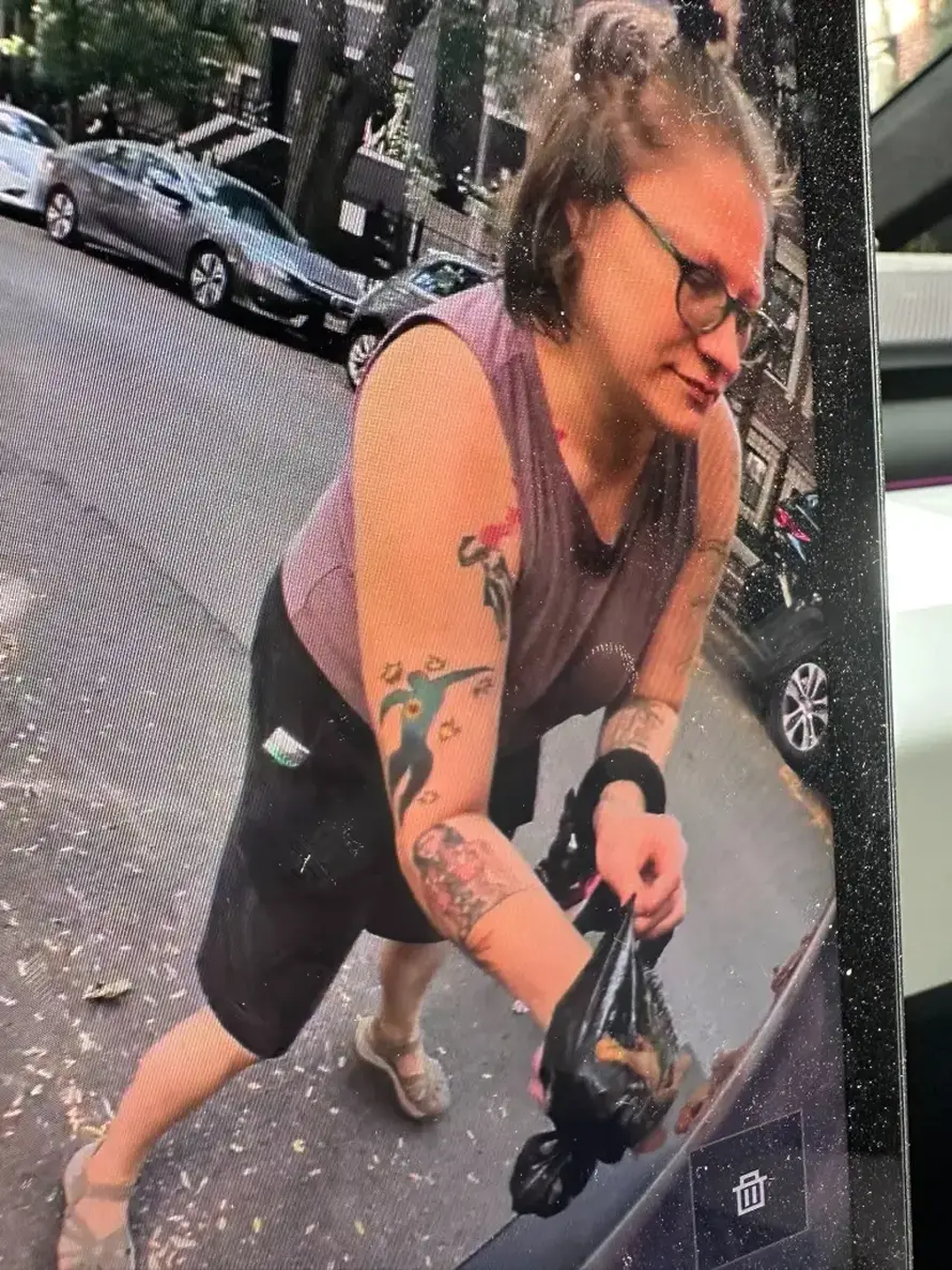 CYBERDREK Kamere je snimile kako maže izmet po Teslinom autu: 'E sad ću joj uništiti dan'