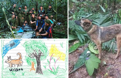 Sada tragaju za psom koji je u džungli pronašao nestalu djecu: 'Nije gotovo dok ga ne nađemo'
