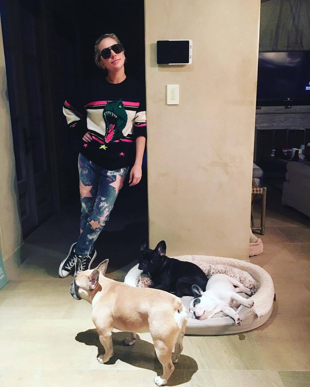 Fanovi Lady GaGe ogorčeni: Za pse je nudila pola milijuna, a njihov šetač moli za donacije