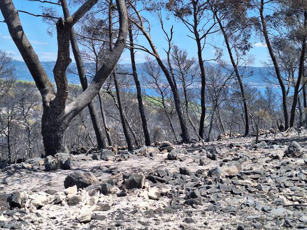 Neki dijelovi Čiova nakon požara potpuno su opustošeni