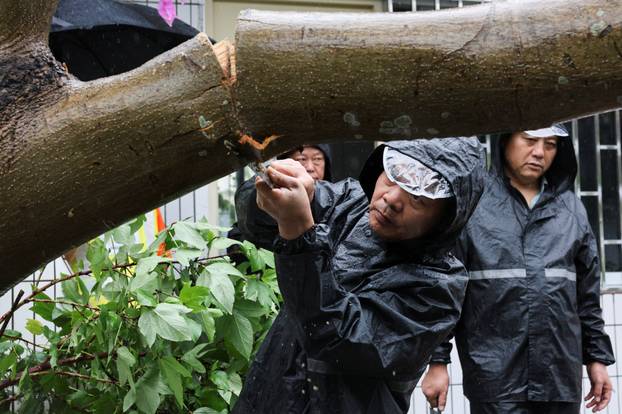 A person cuts a fallen tree to clear the street in the aftermath of Super Typhoon Ragasa, in Shenzhen
