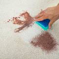 Napravite sredstvo za čišćenje tepiha sami - prirodno i brzo