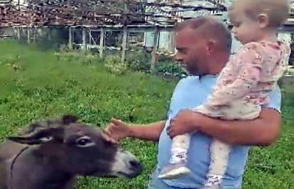 Vukovi su pojeli posljednjeg magarca blizu Zadra: 'Žao mi je, svi su plakali. I mi i djeca...'