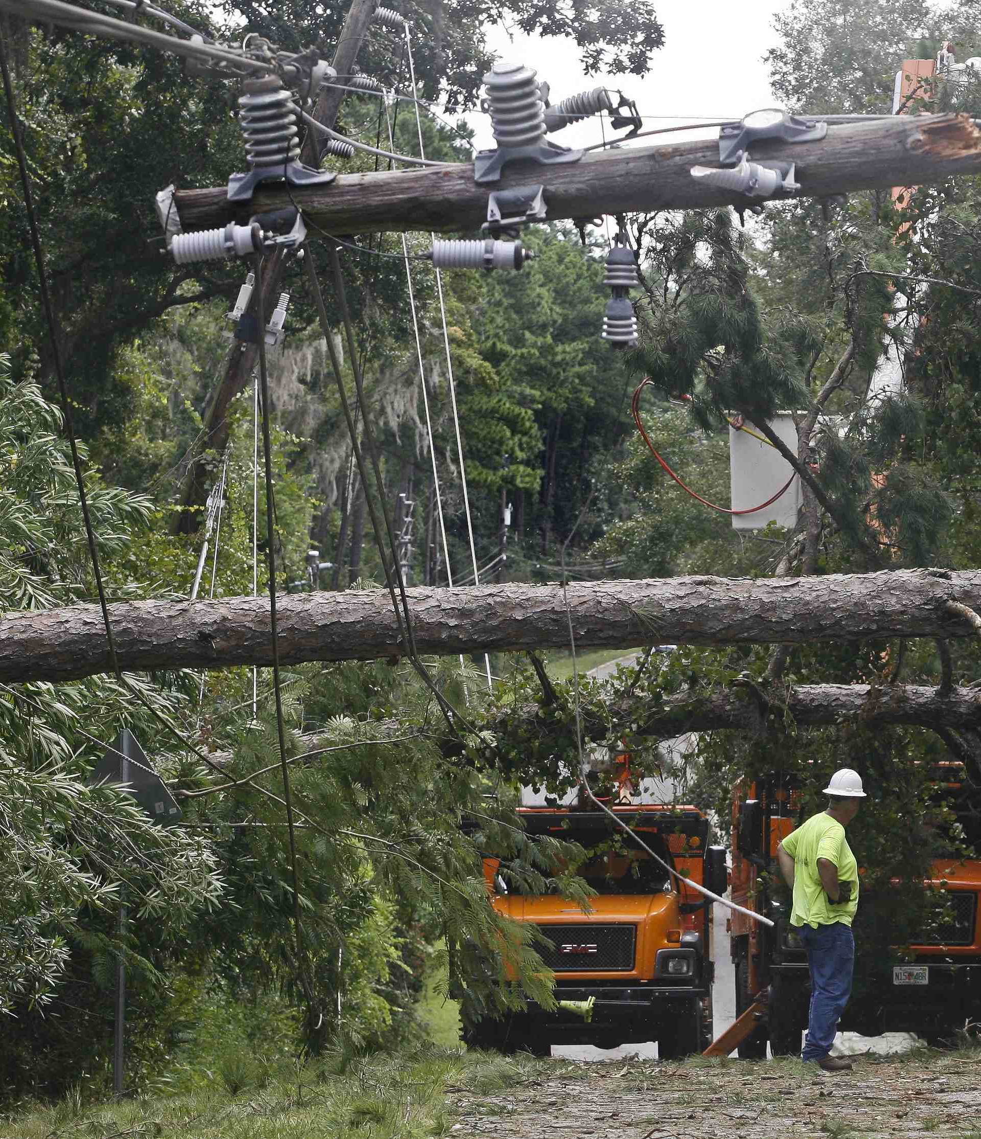 Workers remove downed trees during cleanup operations in the aftermath of Hurricane Hermine in Tallahassee