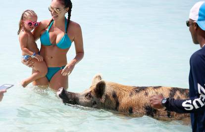 Uživa k'o prase: Tamara se na plaži igra sa divljom svinjom