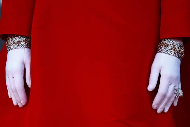 The 81st Venice Film Festival - Opening Ceremony