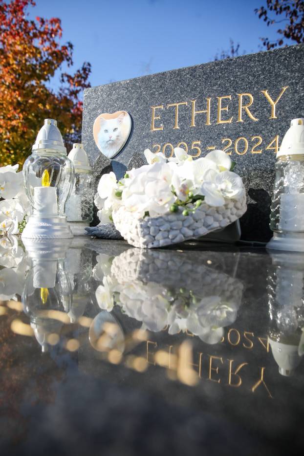 Zagreb: Groblje kućnih ljubimaca u Dumovcu obišao je jedino jedan mačak