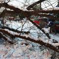U Madridu šteta 1,4 milijarde eura zbog snijega