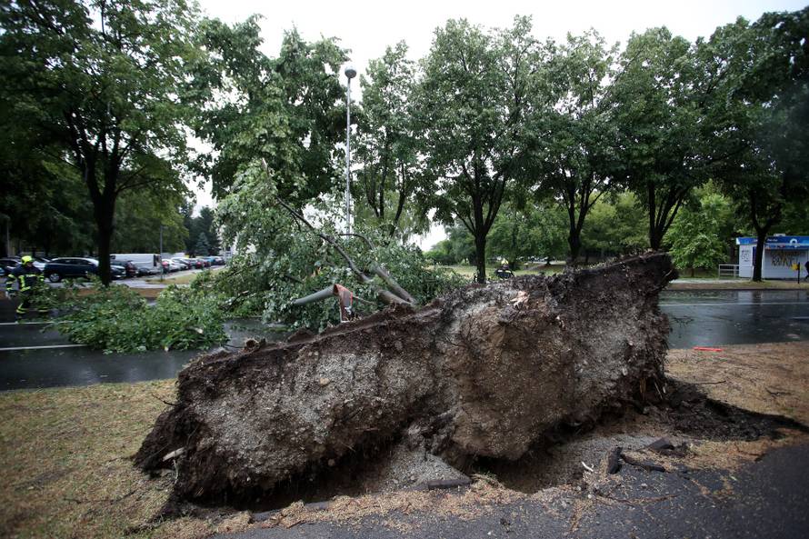 Zagreb: Vatrogasci uklanjaju stablo koje je palo u Ulici Svetog Mateja