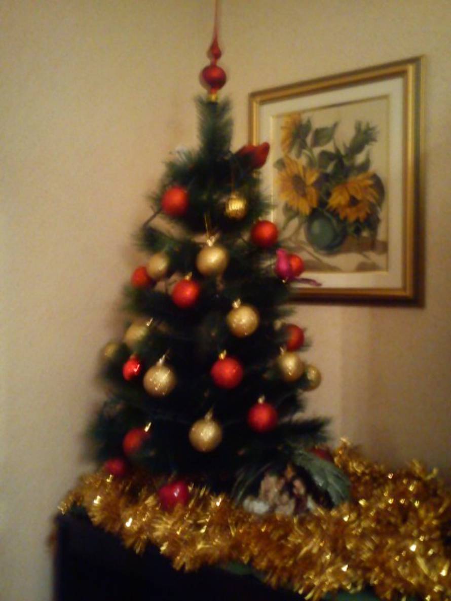 Šaljite fotografije božićnih jelki i osvojite vrijednu nagradu...