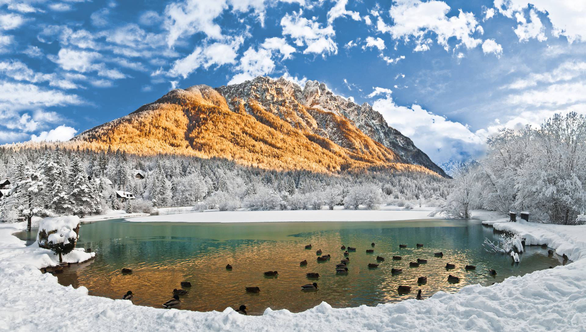 Kratki blagdanski predah po Europi, evo što se nudi - Advent u Beču, Pragu, šoping u Grazu...