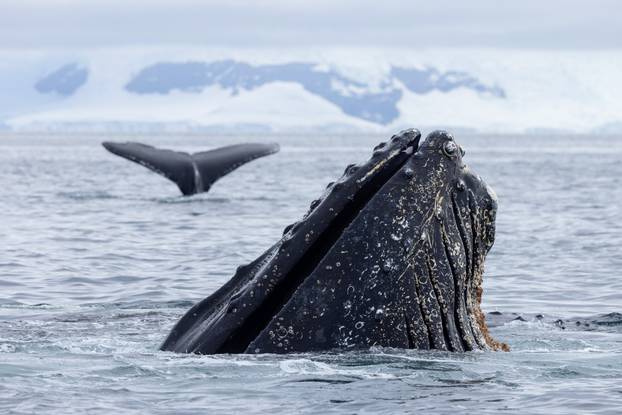 FOTO Par iz Dalmacije motorima obišao cijelu Južnu Ameriku: Pogledajte te prirodne ljepote!