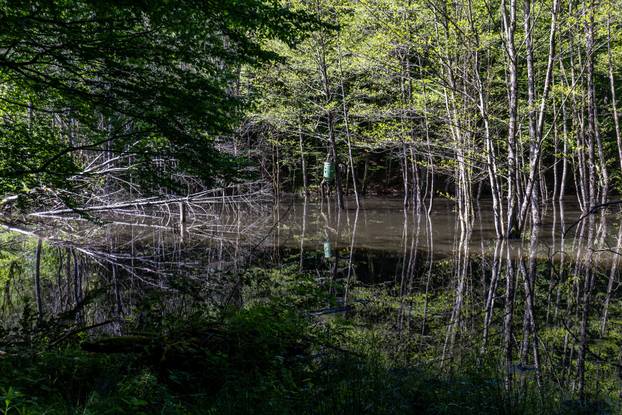 Ilegalno odlagalište otpada u Dubravi Pušćanskoj