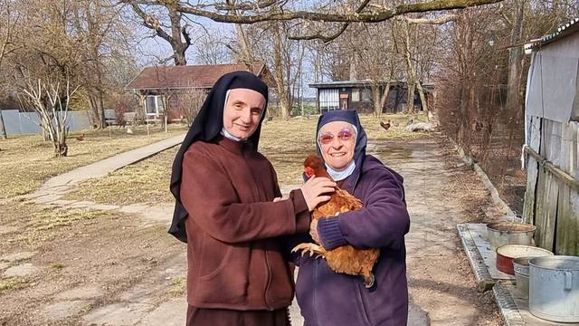 Kokoš Čupka pronašla novi dom: O njoj se brinu časne sestre iz samostana Karmel
