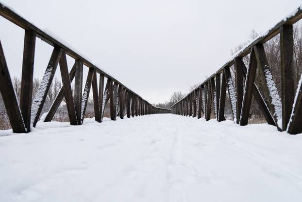 Kopački rit: Zimska idila u Baranji 