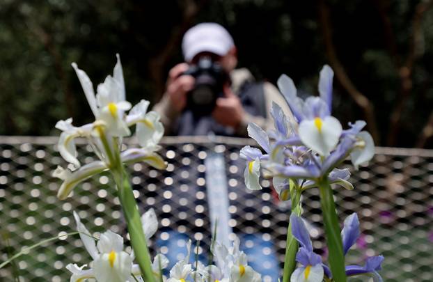 Split: Na Marjanu otvoren Botanički vrt