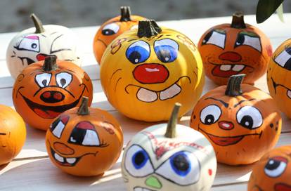 Pumpkin harvest