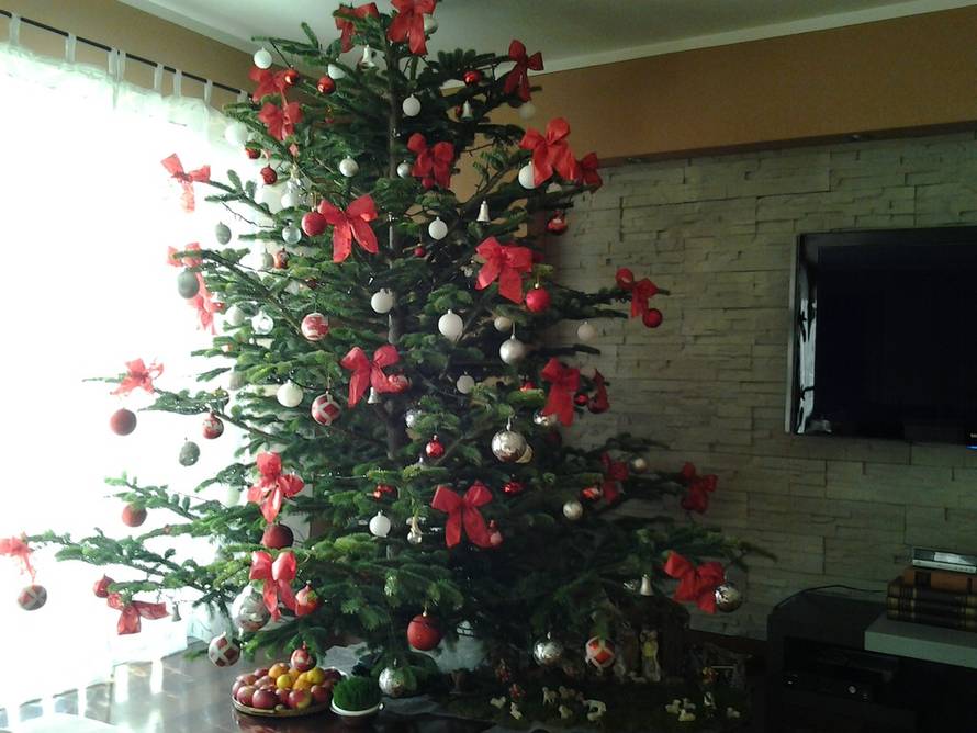 Šaljite fotografije božićnih jelki i osvojite vrijednu nagradu...