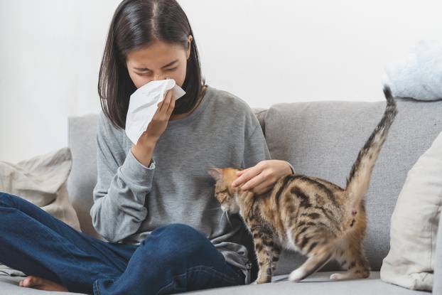Diseases,From,Pets,Concept.,Woman,Is,Sneezing,From,Fur,Allergy
