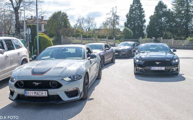 GALERIJA Kultni američki Mustanzi zablistali su u Rovinju