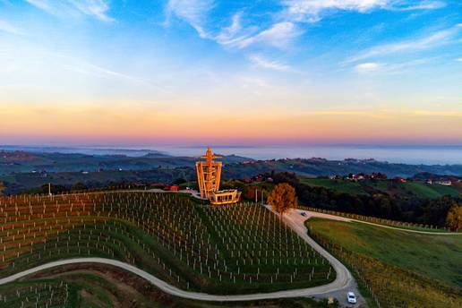 Roz&eacute; vina &ndash; trendovi, sorte i posebno mjesto Slavonije