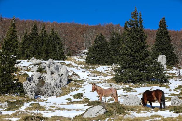 Na današnji dan 1999. proglašen je hrvatski nacionalni park Sjeverni Velebit