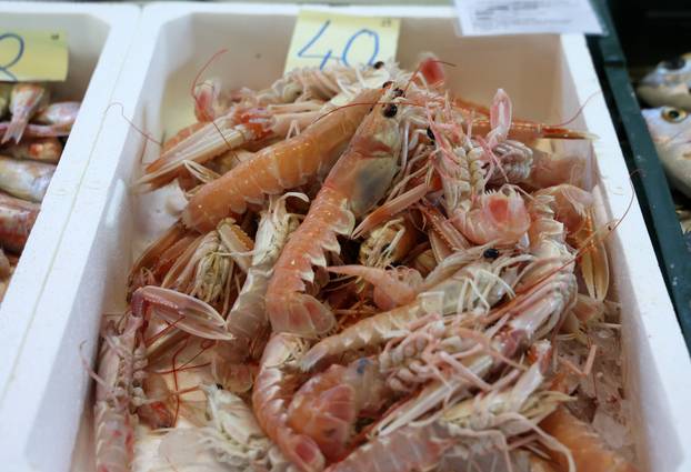 Šibenik: Ponuda ribe i ostalih morskih delicija