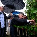 VIDEO Pogledajte kako Milanovi&cacute; i veleposlanici beru gro&zcaron;&dstrok;e u Jastrebarskom