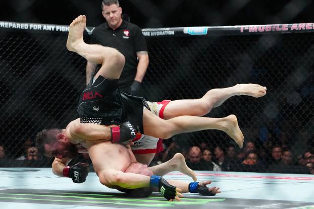 MMA: UFC 323 - Dvalishvili vs Yan