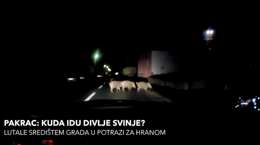 Divljaju cijene u Rovinju: Kava sa šlagom 54, Irish kava 80 kn