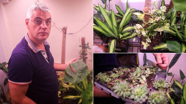 'U Zagrebu smo pokrenuli SPAs projekt za oporavak bolesnih biljaka, tu su i po par mjeseci'