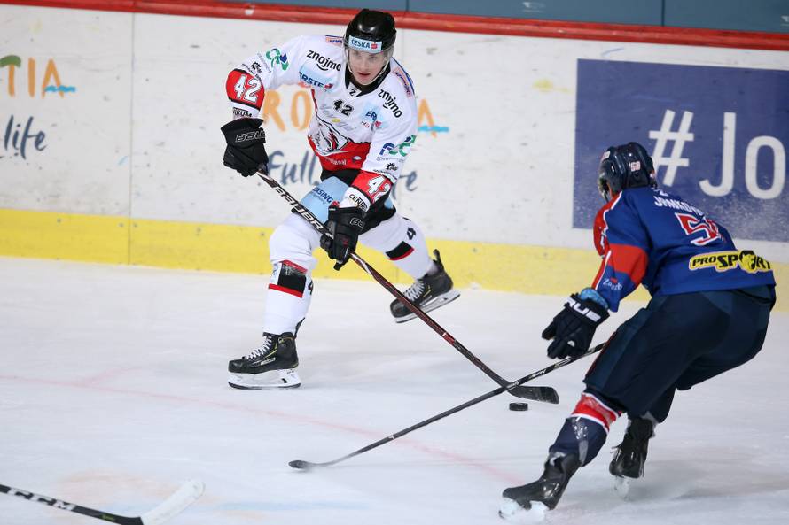 Medvjedi posuđivali igrače na dan utakmice i popili 7 komada