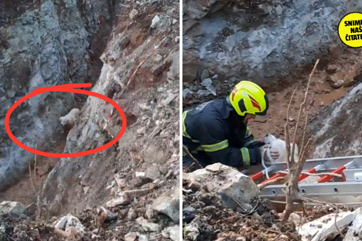 VIDEO Vatrogasci spasili psa iz dubokog kanala kod gradili&scaron;ta u Istri: 'Floki je star, nije vidio...'